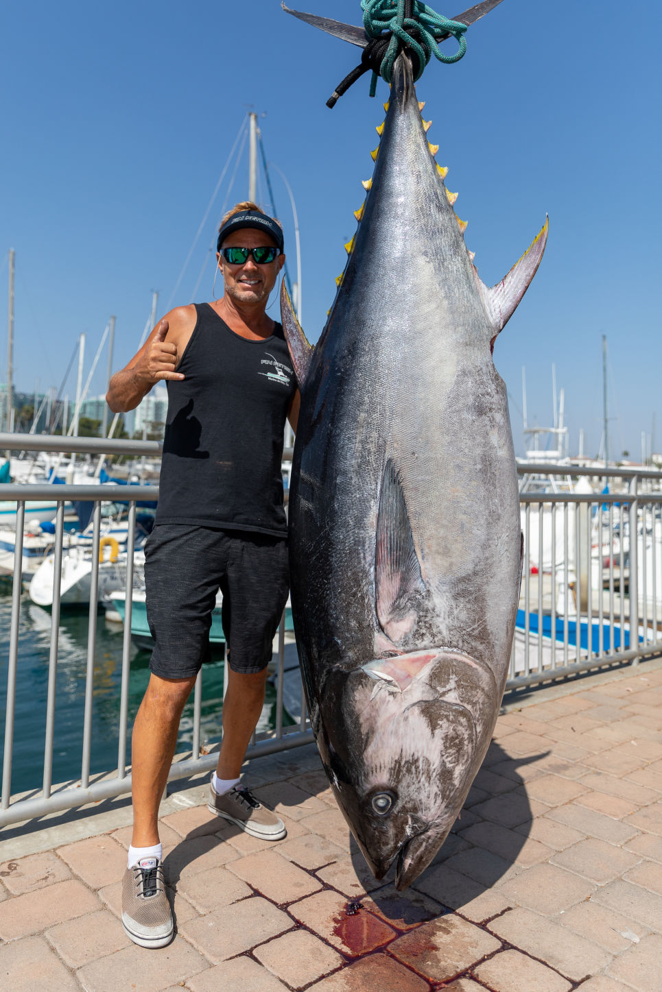 Fin Fetish for B&K-13